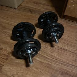 Weights 
