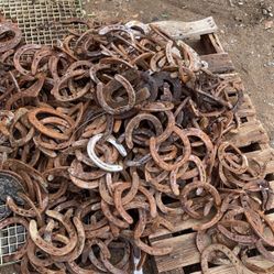 Rustic Horseshoes $1