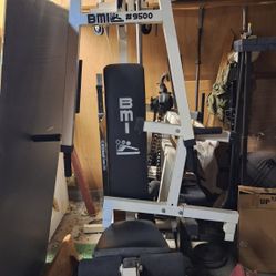BMI Workout System, Bench And Weights. Pickup In Chino Hills