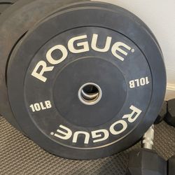 Rouge 10lb Weights