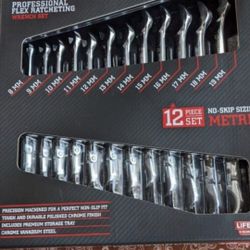 ICON Professional Flex-Head Metric Ratcheting Combination Wrench, 12-Piece