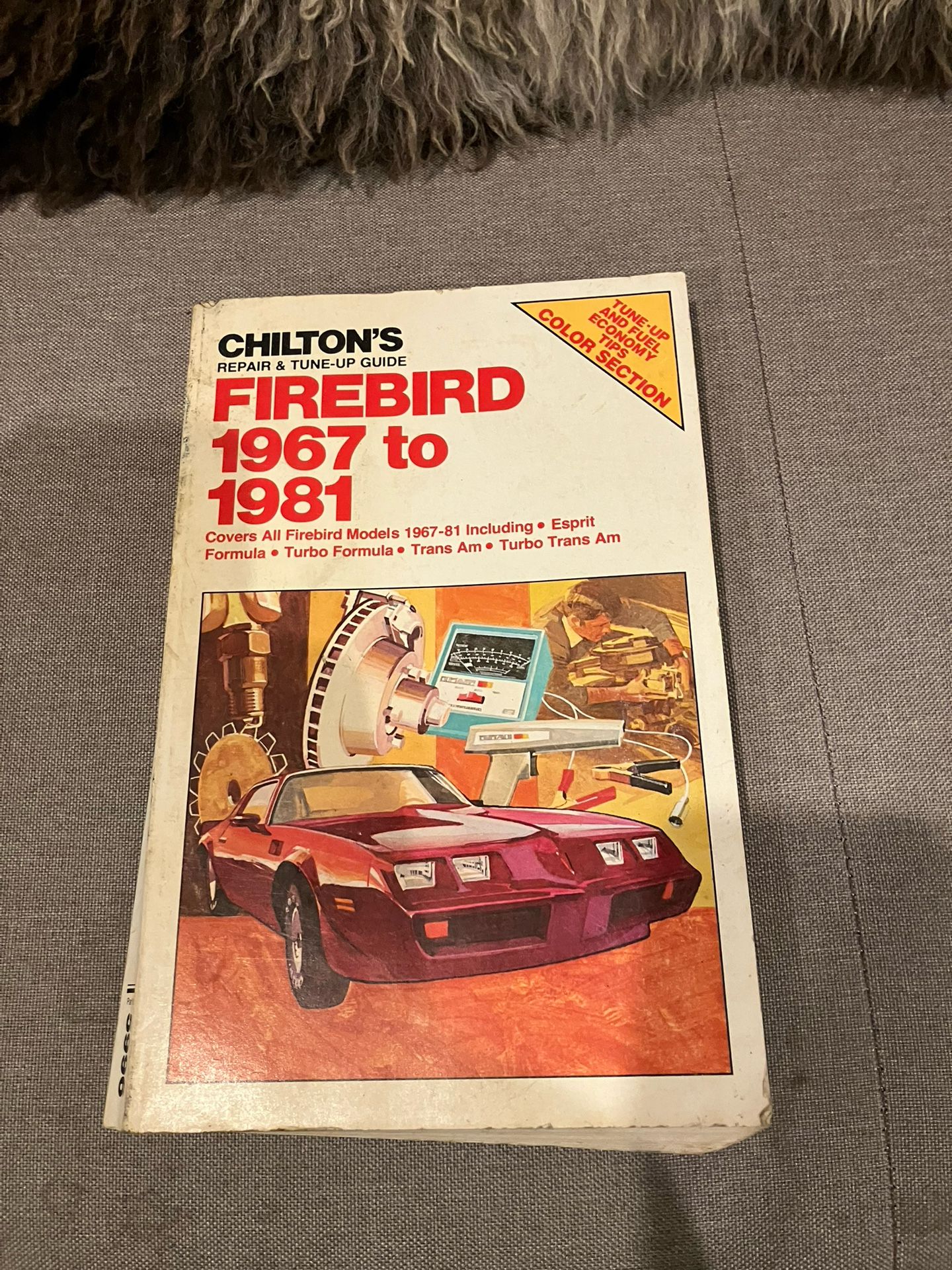 Chilton’s Firebird 1(contact info removed) Repair Manual