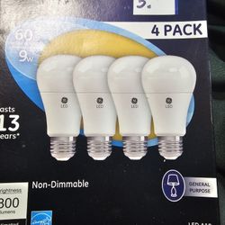 Light Bulbs 