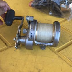 Daiwa 40 Saltist