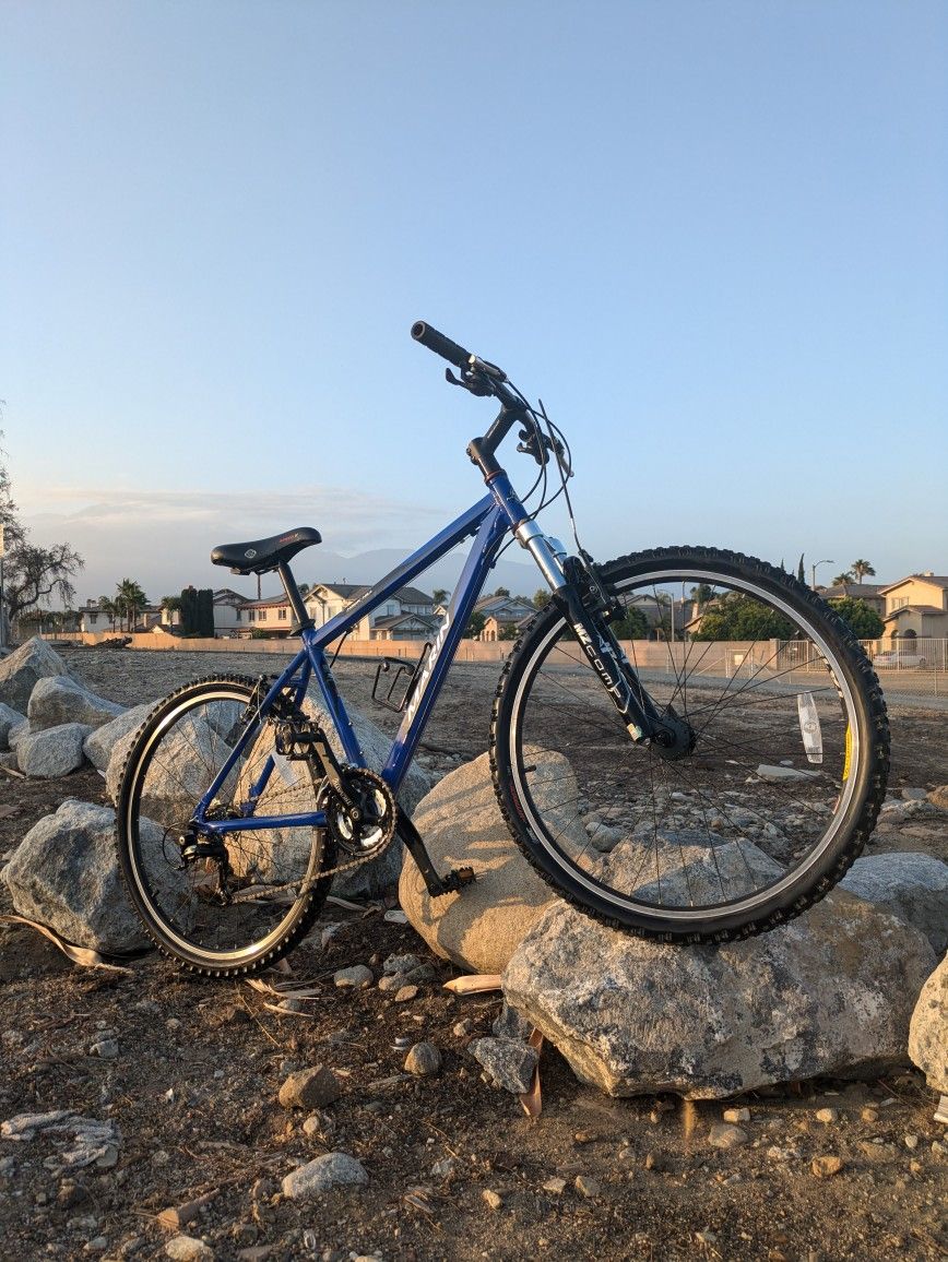 Mountain Bike