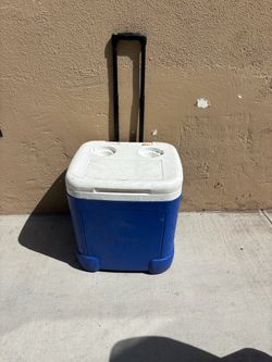Coolers