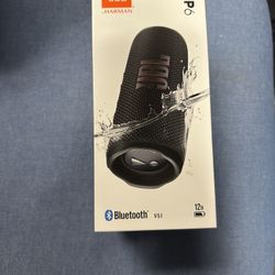 JBL Flip 6