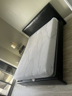 Queen Size Bed