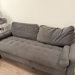 Grey Color Sofa 