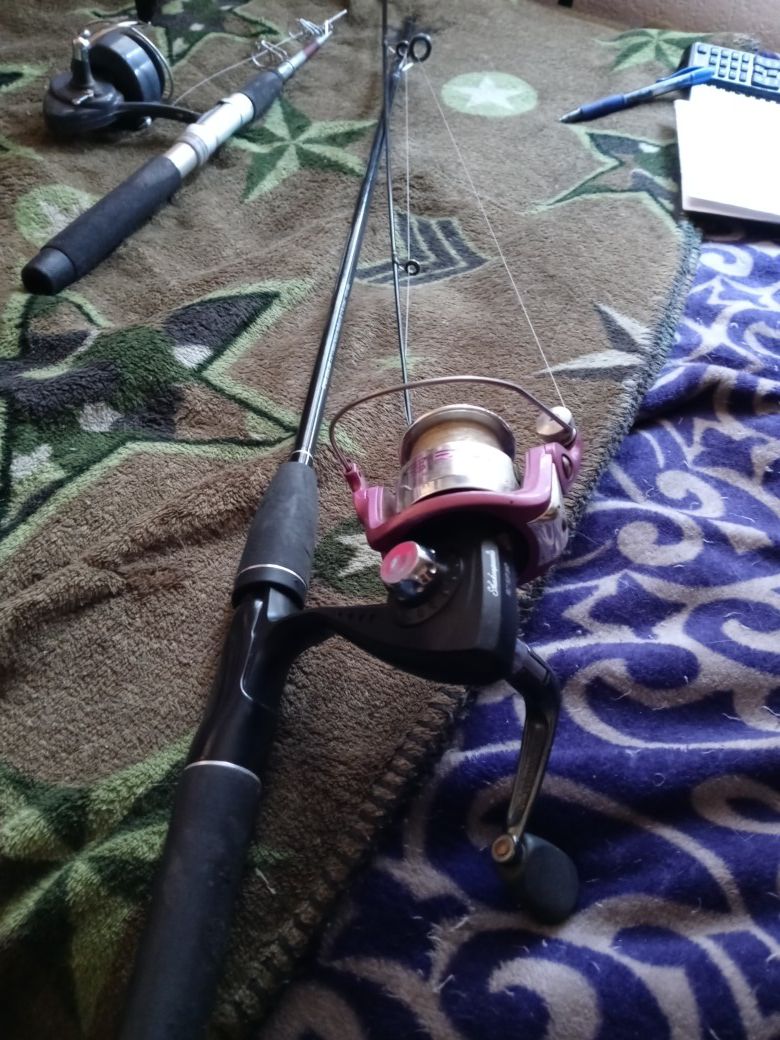 Almost New Rod an Spinning Reel