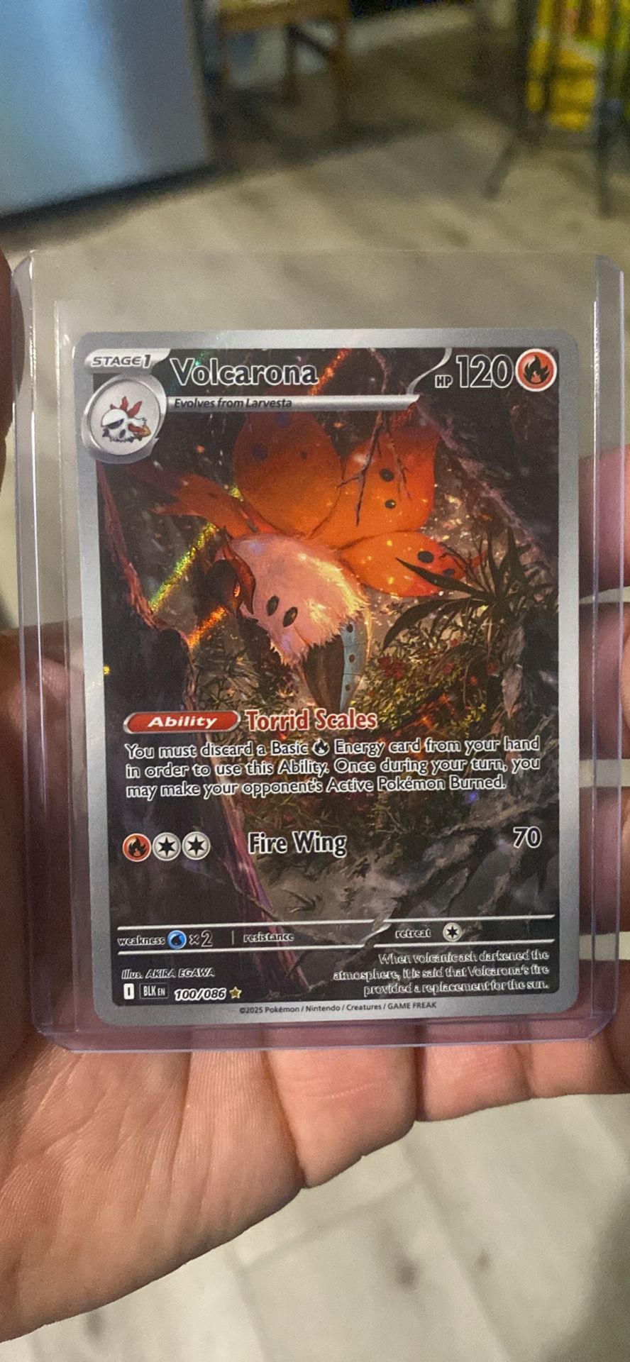Pokémon Cards