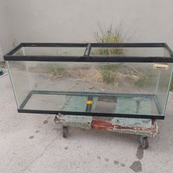 55 Gallon Aquarium With Stand 