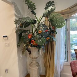 Tall Entry Way Plant