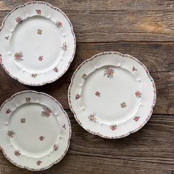 Haviland Limoges France Olympia China Dinner Plates