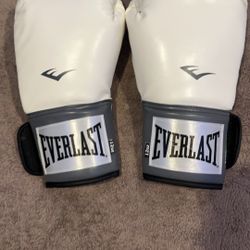 Everlast 12 Oz Boxing gloves