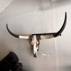 Animal Skull For Mancave Or Decor