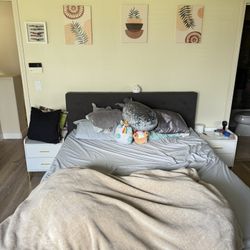 Queen Sized Bed & Frame