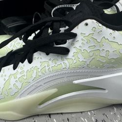 Nike Jordans 