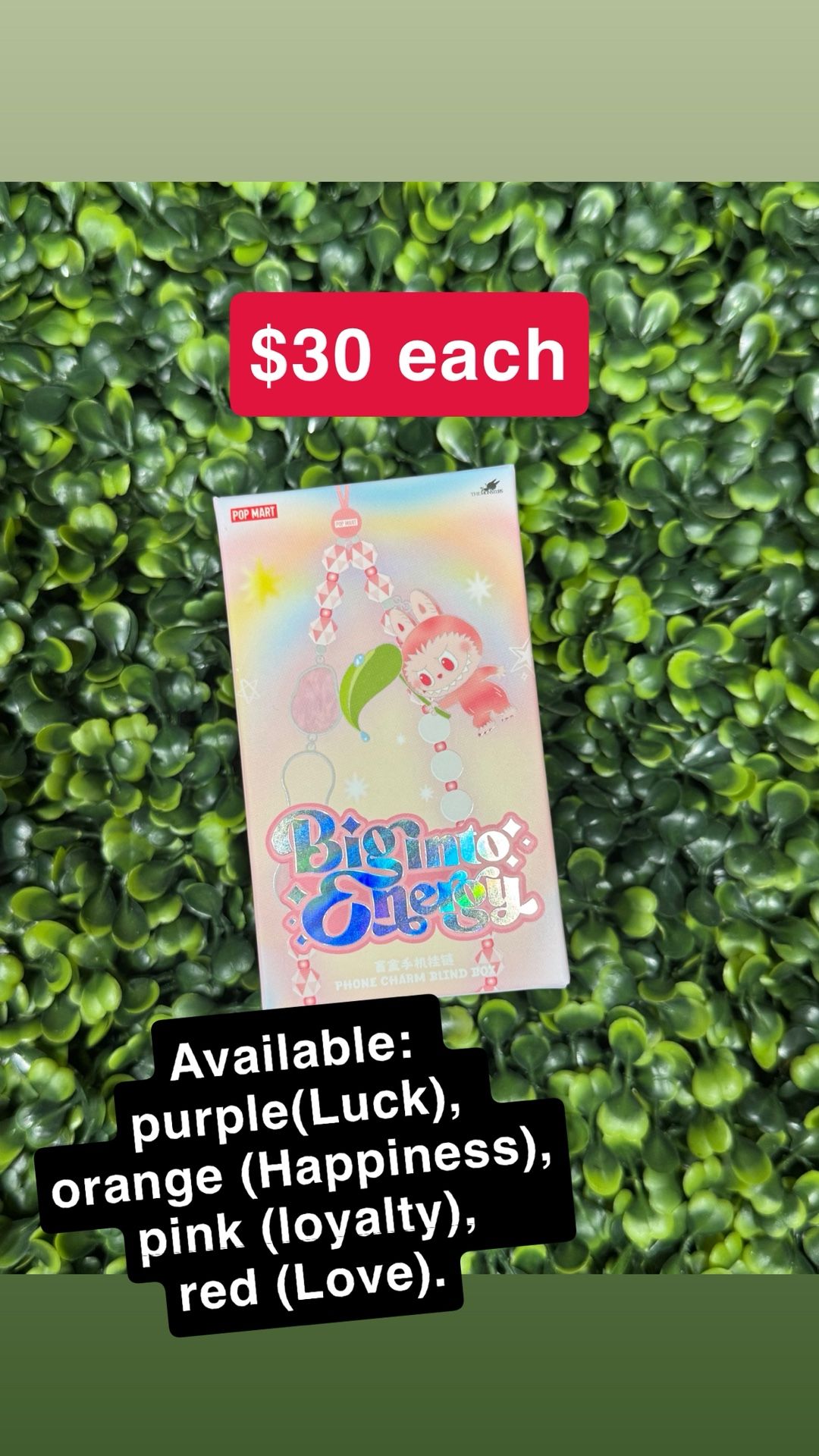 Big Into Energy Charms