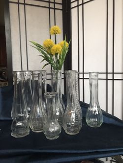Variety Set of 10 glass vases