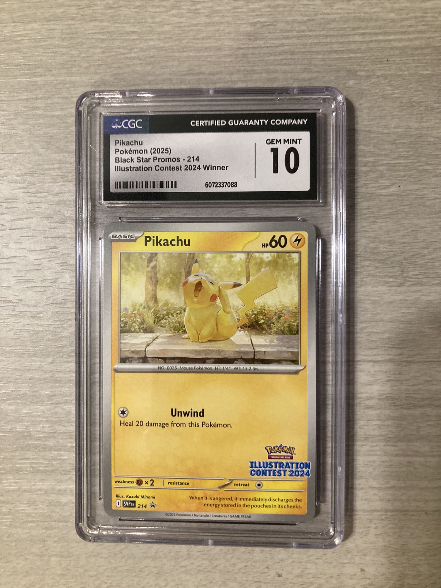 Pikachu (illustration Contest 2024) 