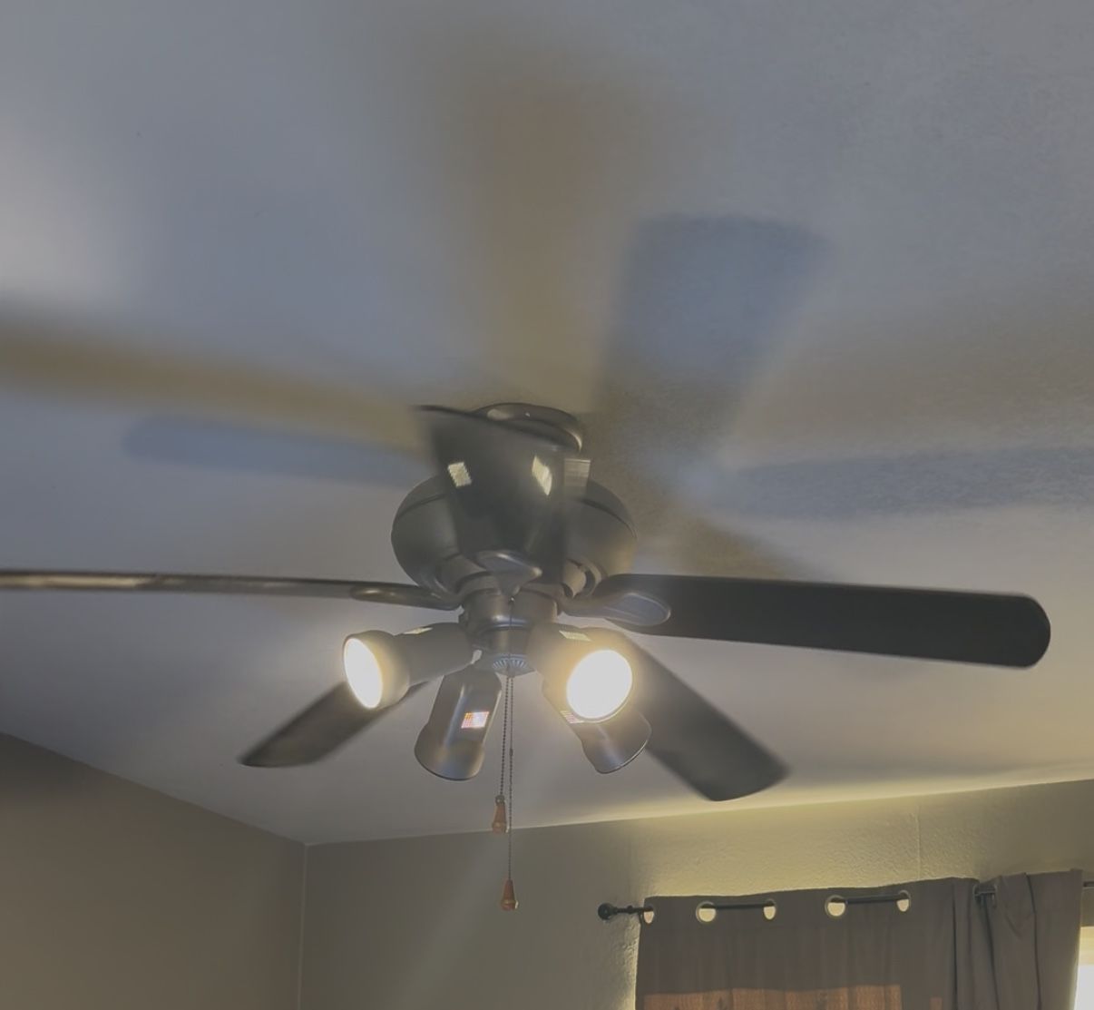 Fan