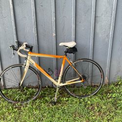 Trek Roadbike