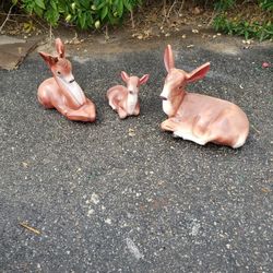 Don't Delete 3pc Statue Deer Dad 17inches front to back , 14 inches high, 8 inches wide

Mom 17 inches front to back, 12 inches high, 9 inches wide

B