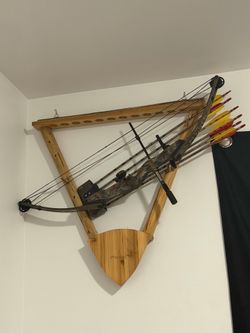 compound sports bow