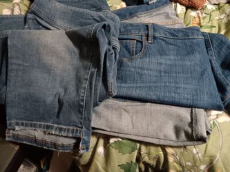 lane bryant capris