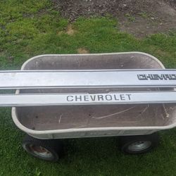 Chevy Pickup Tailgate Inserts 70s /80s
