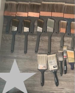 Assorted Paint Brush Lot