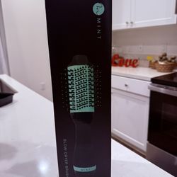 Mint Blow Dryer Brush