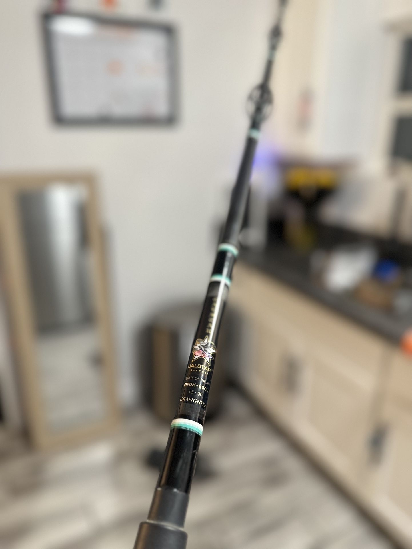 CALSTAR GFDH•800L w/ Shimano Torium 14HG