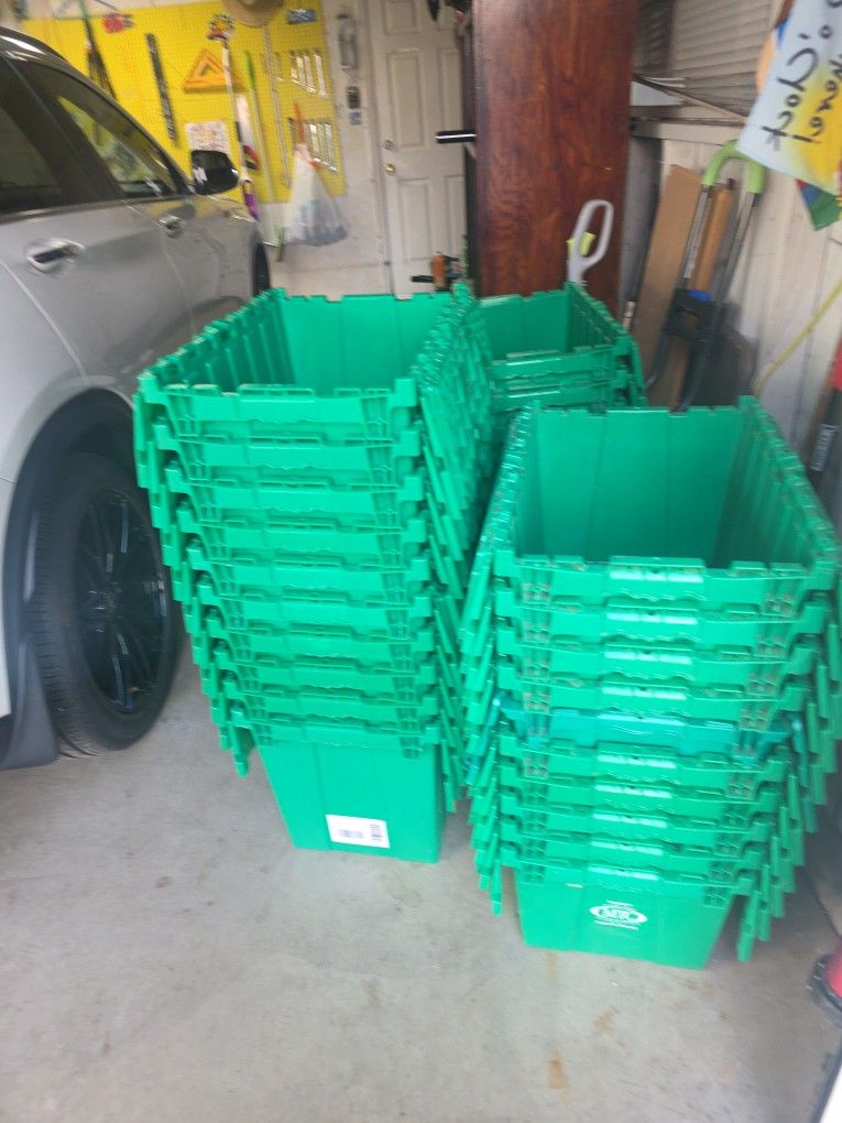 Storage Bins