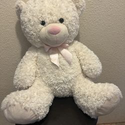 Plush Teddy Bear