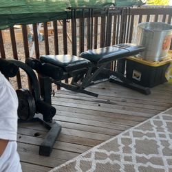Exercise Bench