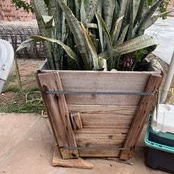 Planteros