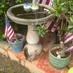 Bird Bath