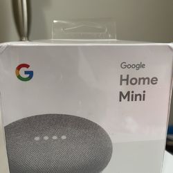 Google Home Mini Chalk
