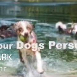 By App Only. 1 Hrs Min   2 Hrs Avg. Visitor:ok