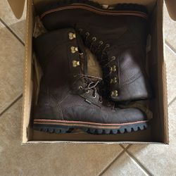 Irish setter By Red Wing Hunting Boots
