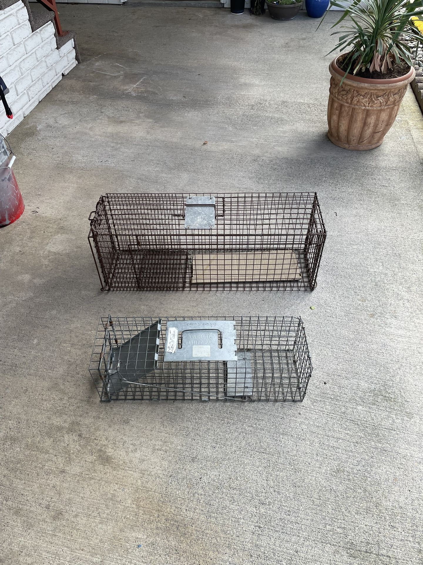 Live Traps