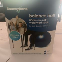 New- Sealed Box- Bouncyband balance ball Seat  65cm No-roll Weighted Seat For Kid And Adults