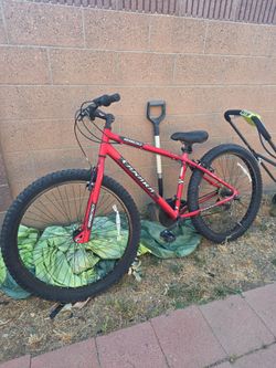 Big tire road bike