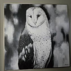 Extra Large Snow Owl Framed Canvas 40×40