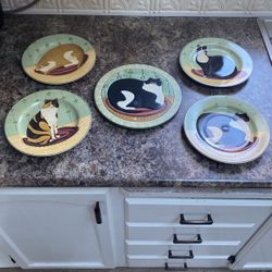 5- Cat Collection