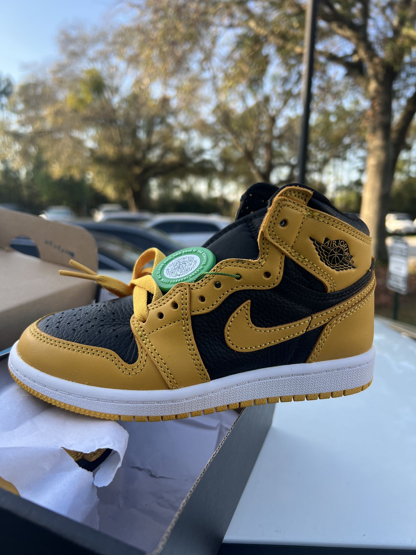 Air Jordan Retro 1 Pollen
