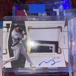 Auto national treasure rookie Romy Gonzalez 14/49 jumbo patch