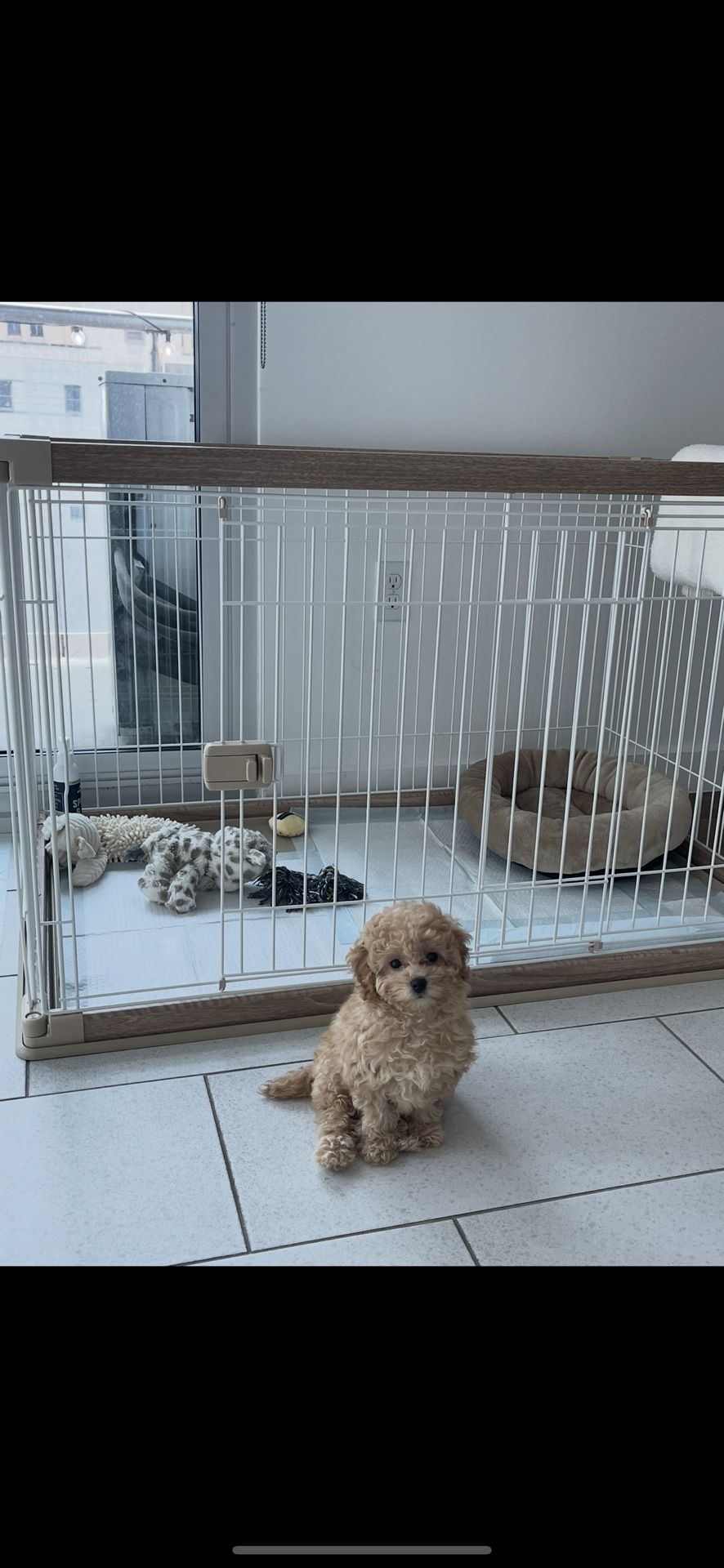 USA Large Dog Crate, Dog Kennel Indoor with Sliding Door & Bottom Tray, Dog Cage, Wire Pet Pen with Bottom Tray, Stylish Wood-Like Trim, Light Brown